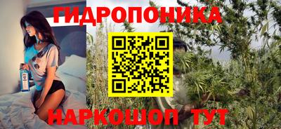 гидропоника Кунгур